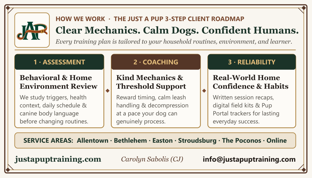 Carolyn Sabolis Warm Editorial Edition business card back featuring humane training pillars and QR code