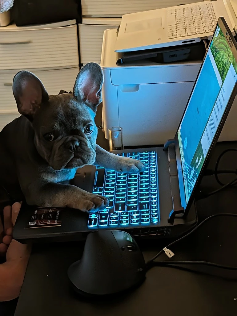 Virtual Coaching with Ronan